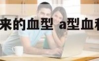 和a型血聊得来的血型 a型血和哪个血型合适