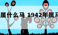 1942年属什么马 1942年属马人是什么命