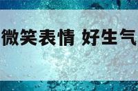 好生气哦保持微笑表情 好生气哦可是还要保持微笑图片