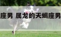 属龙的天蝎座男 属龙的天蝎座男生喜欢什么型女人