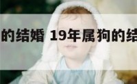 19年属狗的结婚 19年属狗的结婚几月份好