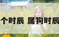 属狗的几个时辰 属狗时辰是几点钟