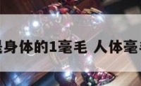 什么是身体的1毫毛 人体毫毛数量