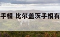 比尔盖茨的手相 比尔盖茨手相有三角令旗纹吗