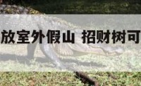 招财树可以放室外假山 招财树可以室外过冬吗