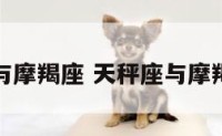 天秤座与摩羯座 天秤座与摩羯座姻缘