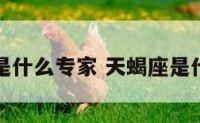 天蝎座是什么专家 天蝎座是什么天才