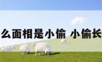 什么面相是小偷 小偷长相