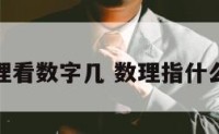 理看数字几 数理指什么