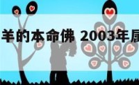 2003属羊的本命佛 2003年属羊的本命佛