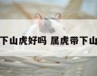 饰品带下山虎好吗 属虎带下山虎吊坠
