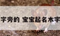 宝宝起名木字旁的 宝宝起名木字旁的字大全