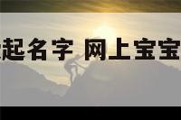 网上宝宝免费起名字 网上宝宝免费起名字怎么起