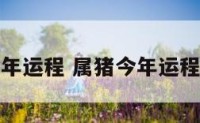 属猪人今年运程 属猪今年运程每月运势