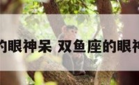 双鱼座的眼神呆 双鱼座的眼神很忧郁