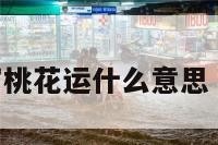 八字中财富桃花运什么意思 财运和桃花