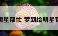 梦到给明星帮忙 梦到给明星帮忙干活