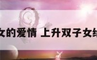 上升双子女的爱情 上升双子女给人的感觉
