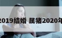 属猪2019结婚 属猪2020年结婚