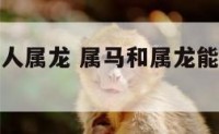 俩人属马一人属龙 属马和属龙能过到一辈子吗