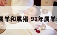 1991属羊和属猪 91年属羊和属猪
