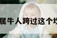 属牛坎坷 属牛人跨过这个坎一飞冲天