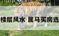 属马买房选楼层风水 属马买房选几楼最合适