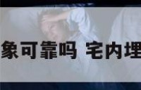 阳宅下埋大象可靠吗 宅内埋大象指什么