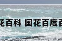 国花百科 国花百度百科