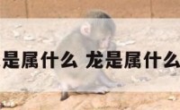 龙是属什么 龙是属什么的