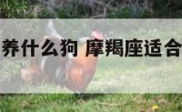 摩羯座长大养什么狗 摩羯座适合养什么品种的狗