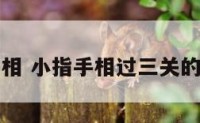 小指手相 小指手相过三关的人少吗