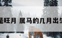 属马几月是旺月 属马的几月出生旺人旺己