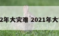 2022年大灾难 2021年大灾难