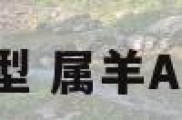 属羊ab型 属羊AB型血男