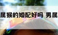 男属羊和女属猴的婚配好吗 男属羊和女属猴相配吗?