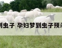 孕妇梦到虫子 孕妇梦到虫子预示着什么