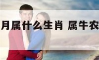 属牛农历十月属什么生肖 属牛农历十月属什么生肖好