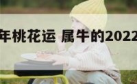 属牛的今年桃花运 属牛的2022年桃花运怎么样