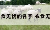 富贵衣食无忧的名字 衣食无忧取名