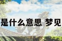 梦见看舞蹈是什么意思 梦见看舞蹈视频