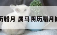属马阴历腊月 属马阴历腊月搬家吉日
