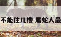 属蛇的不能住几楼 属蛇人最旺楼层