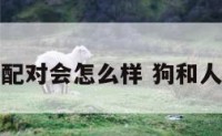 狗和人配对会怎么样 狗和人相配吗