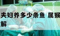 属虎属猴的夫妇养多少条鱼 属猴和属虎家里摆放什么化解