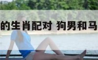 狗男和马女的生肖配对 狗男和马女的属相合不合