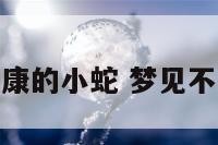 梦见不健康的小蛇 梦见不像蛇的蛇
