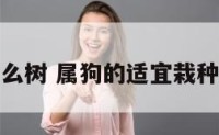 属狗种什么树 属狗的适宜栽种什么植物