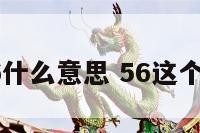 寓意数字56什么意思 56这个数字好不好