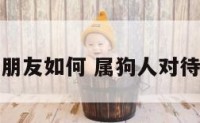 属狗的人对朋友如何 属狗人对待感情怎么样
